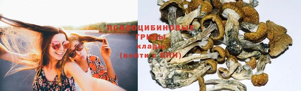 бошки Баксан