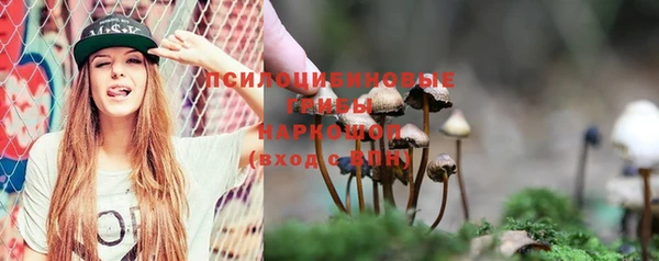 метадон Арсеньев