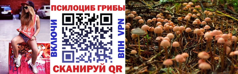 Галлюциногенные грибы Psilocybe  KRAKEN сайт  Нея 